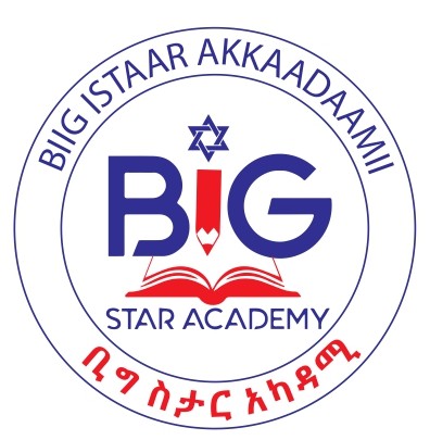 Big Star Academy