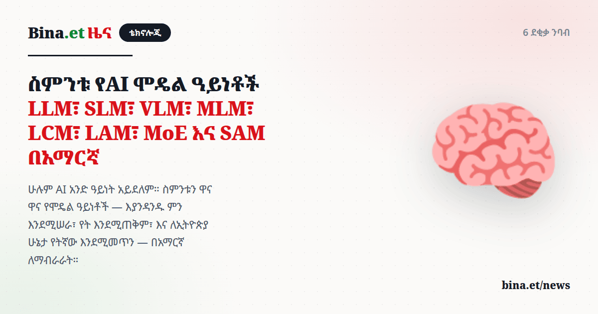 ስምንቱ የAI ሞዴል ዓይነቶች — LLM፣ SLM፣ VLM፣ MLM፣ LCM፣ LAM፣ MoE እና SAM በአማርኛ